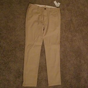 Hollister pants
